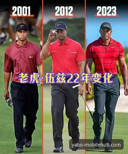 老虎伍兹药物影响驾驶事件全解析：从赛场传奇到健康危机，yabo888用户必知的安全警示